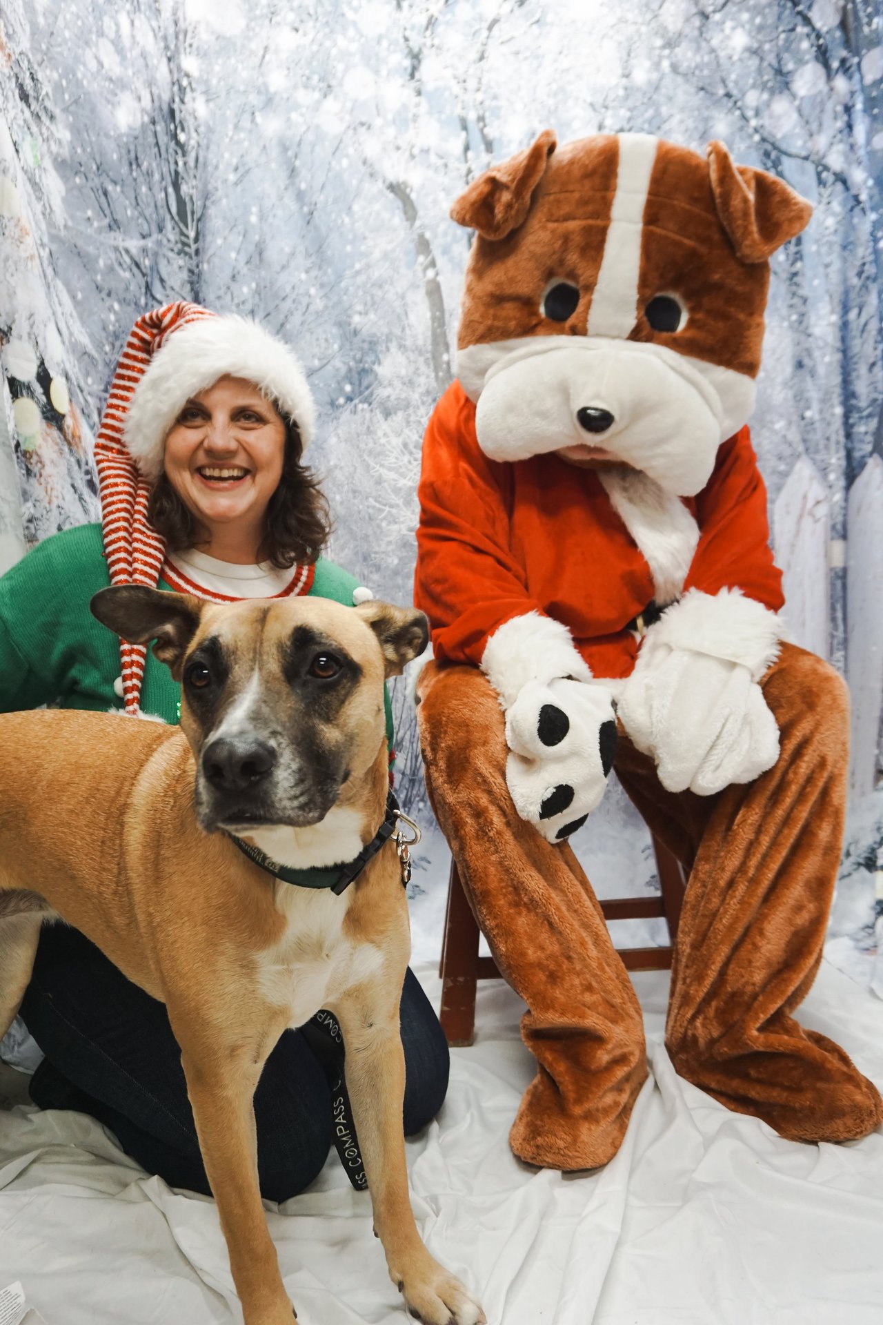 December 2023 Newsletter