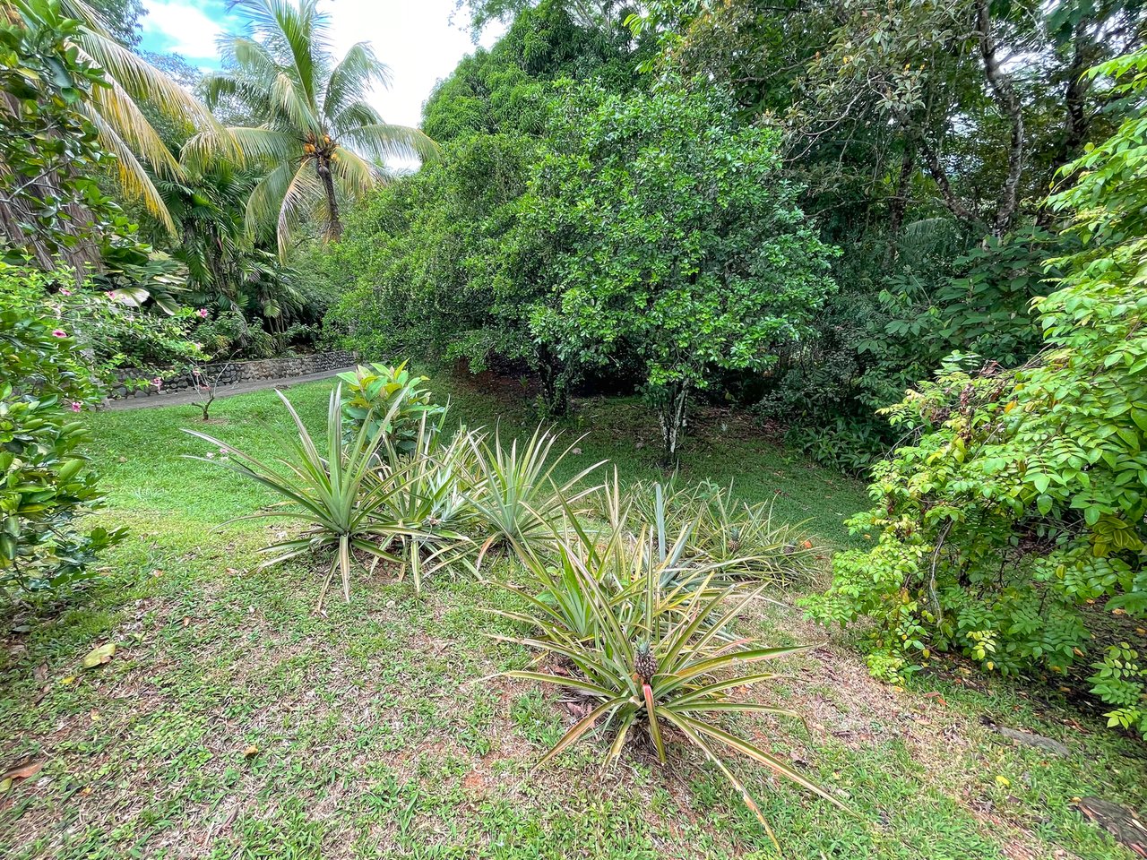 Ocean View Home With Expansion Sites, Ojochal, Puntarenas