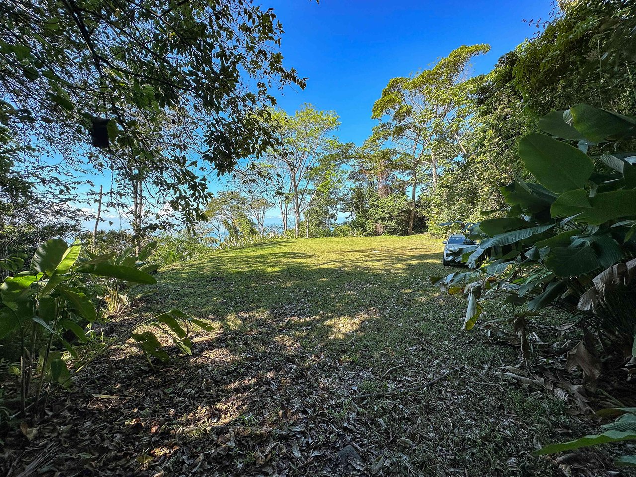 A prepared, 1.5 Acres jungle immersed lot with spectacular views of the Whale’s Tail. 