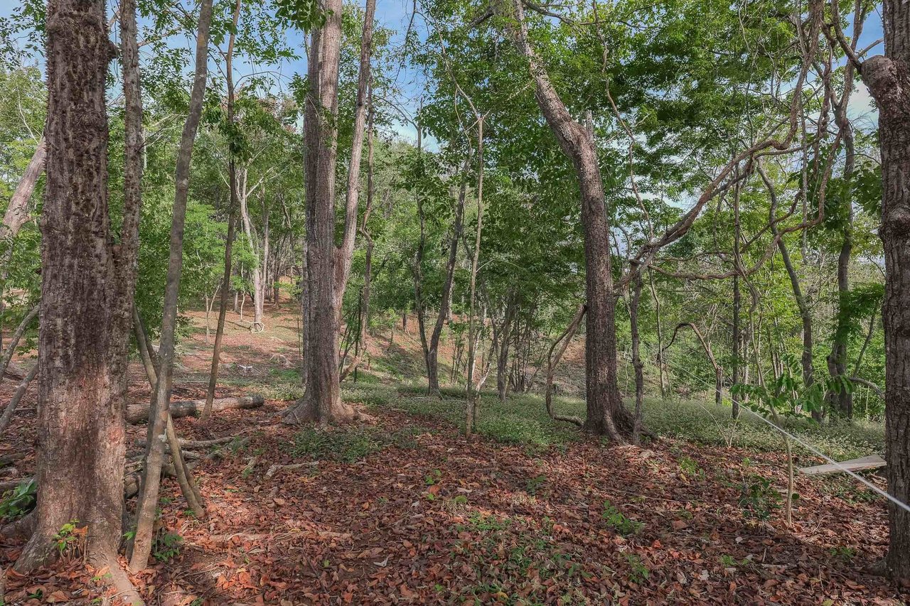 Sustainable Coastal Building Lot, Nosara, Guanacaste
