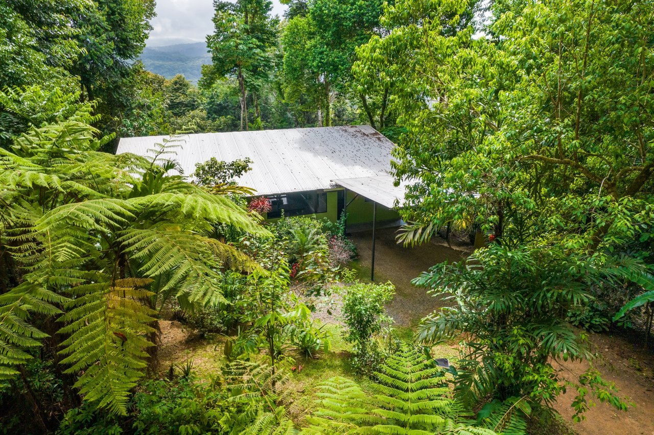 Tropical Villas on 11 Acres of Jungle. Great Location for a Retreat!