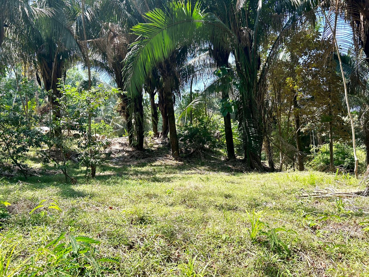 Great Location Land Parcel in Playa Hermosa