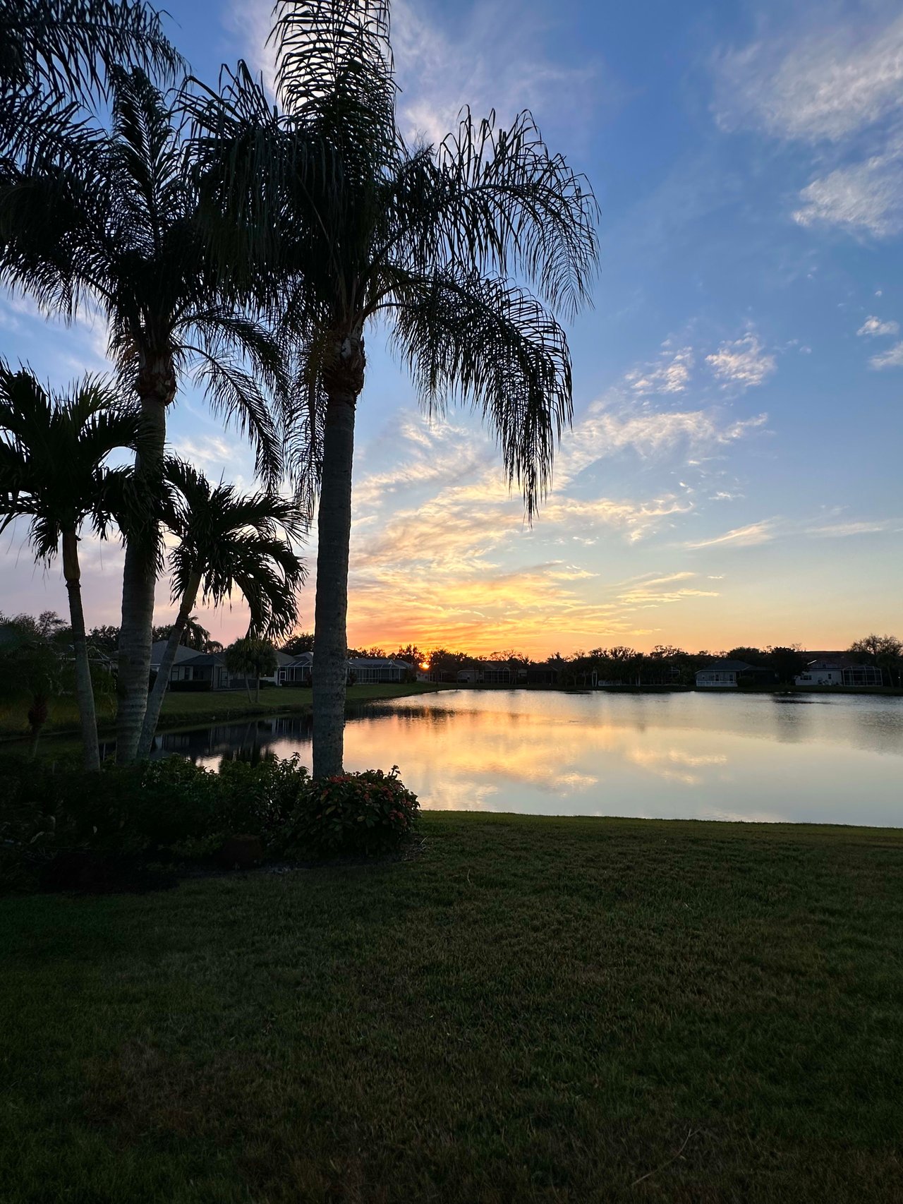 January in Sarasota