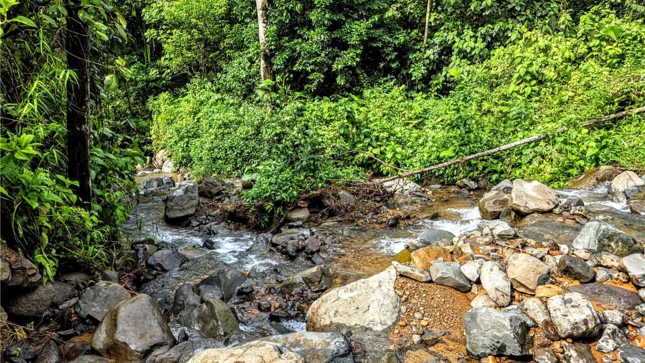 Rainforest Waterfall Acreage Estate, Dominical, Puntarenas