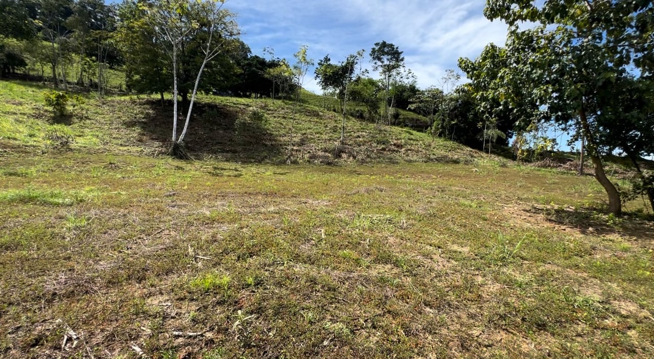 San Josecito Farm Above Uvita, 4 Acres, Creek and Usable Land