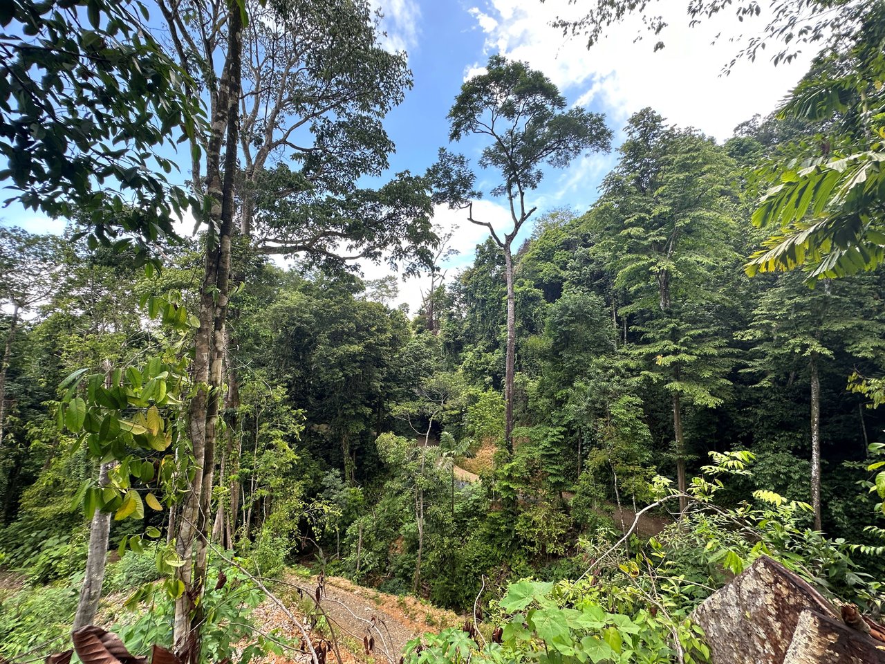 5.77 Acres With 4 Building Sites. Ocean Views, Rivers And Rainforest Abound In Cinco Ventanas! Ojochal 
