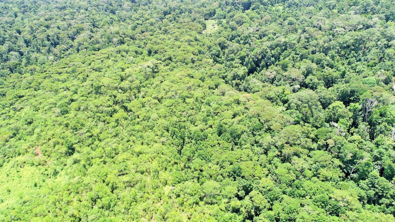 Private Beachfront Development Land, Ojochal, Puntarenas