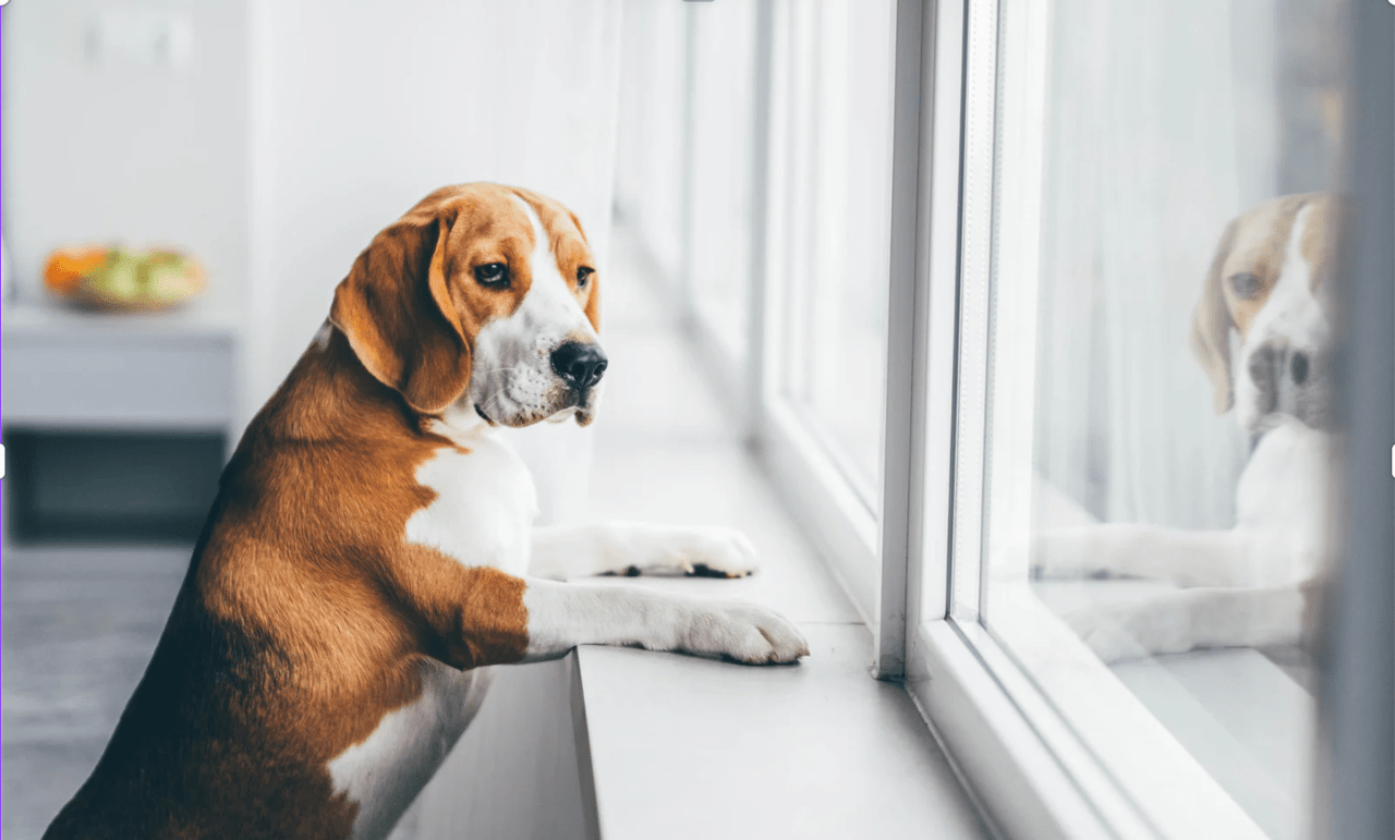 5 Things to Do While You Wait to Enter the Real Estate Market