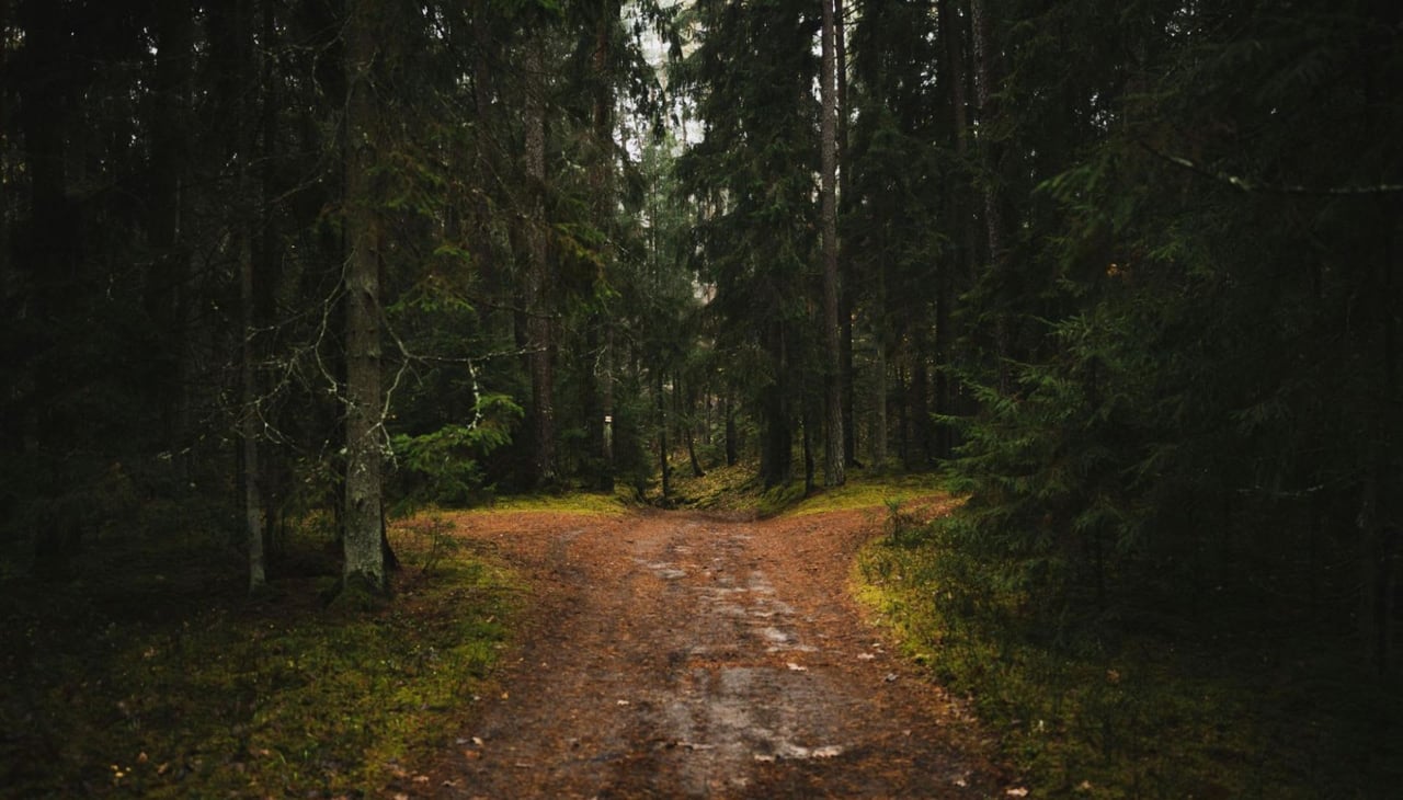 Trails and Tranquility: Exploring Nature Around Watkinsville
