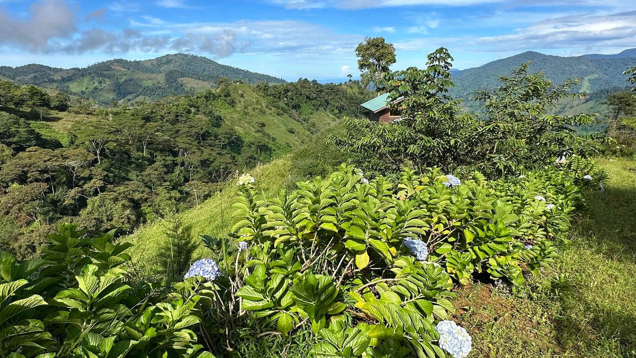 Beautiful Mountain View Farm for Sale