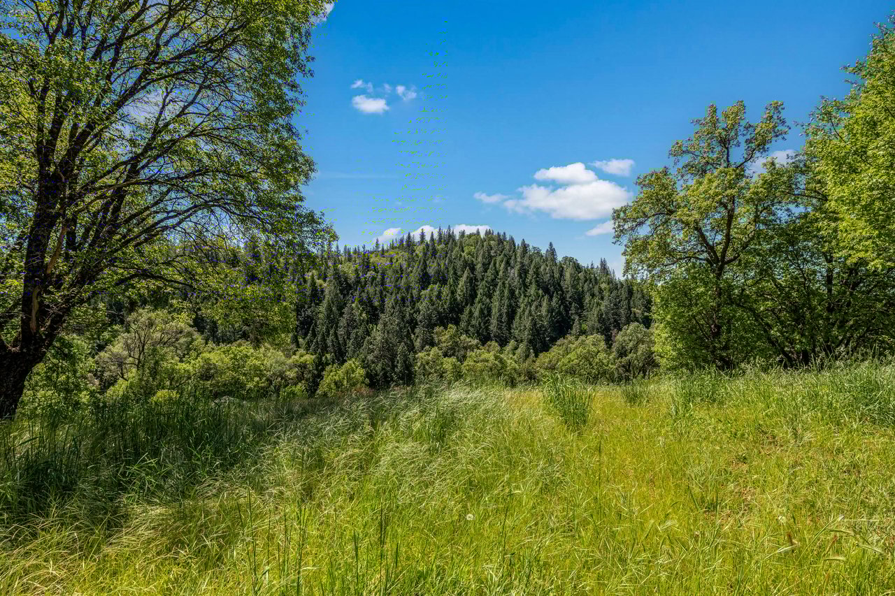 501 Shell Ln, Placerville