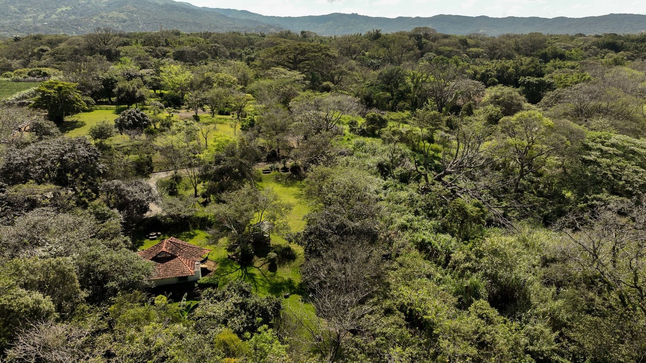 Prime Development Land for Sale La Guacima, Guacima, Alajuela