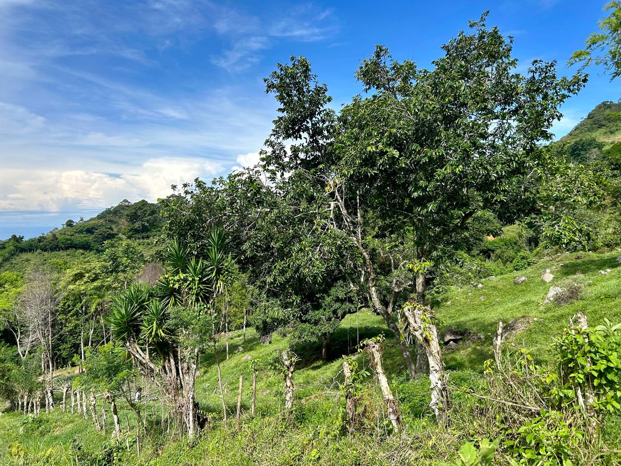 Stunning Ocean View Farm in San Luis de Morete, Over 23 Acres