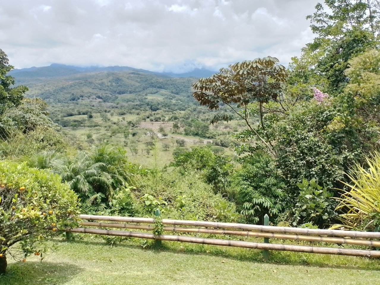 Coffee Farm Hacienda Estate, Perez Zeledon, San Jose