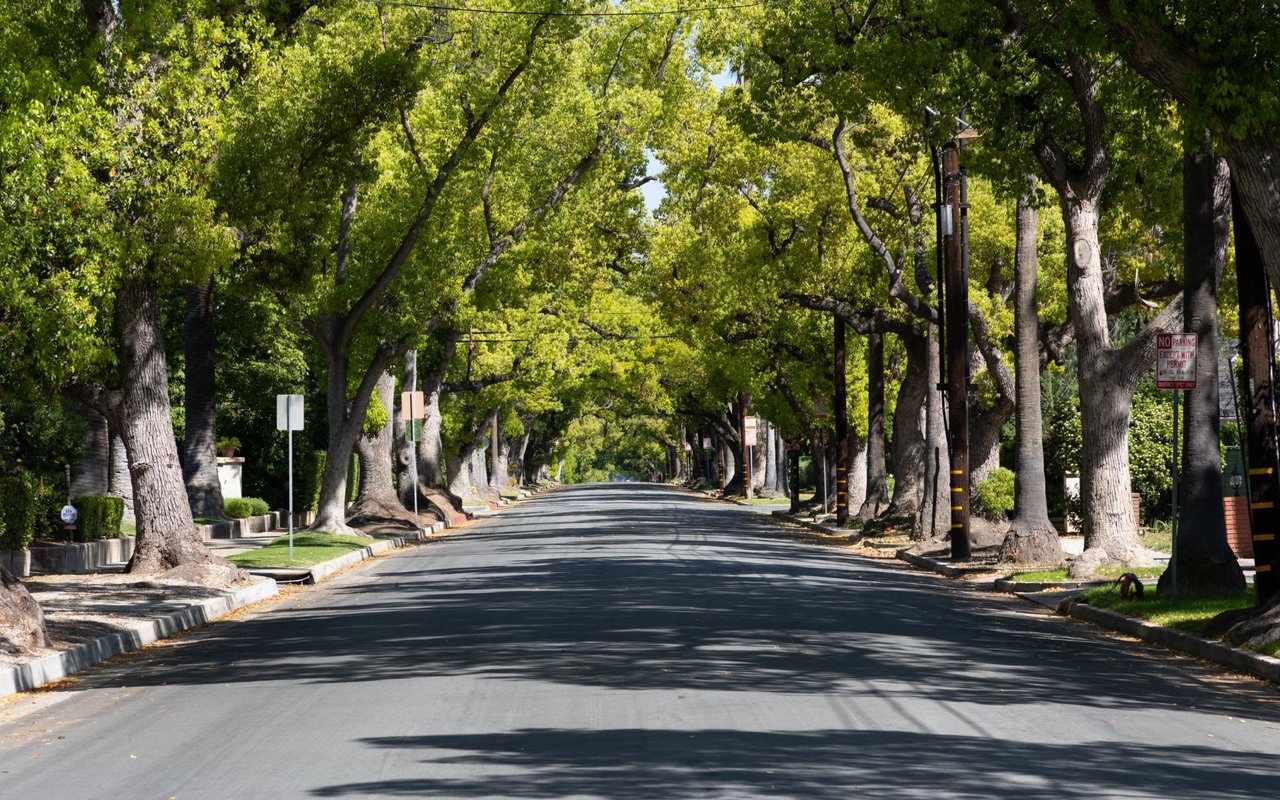 Forestville