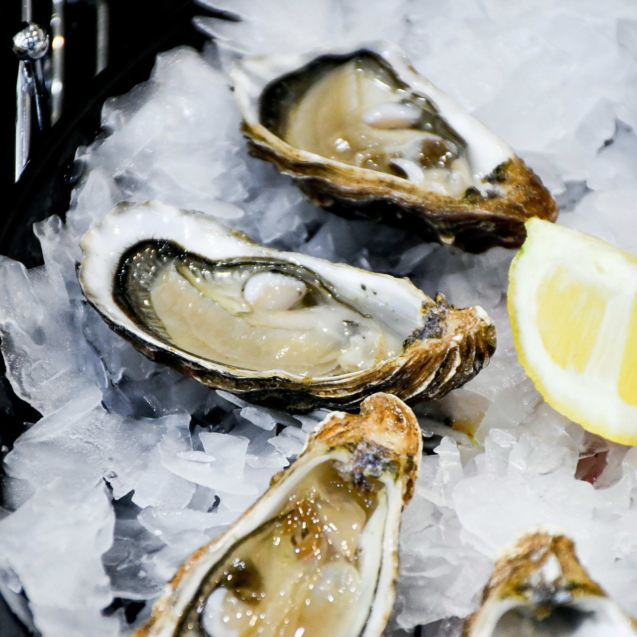 Freshly Shucked Oysters