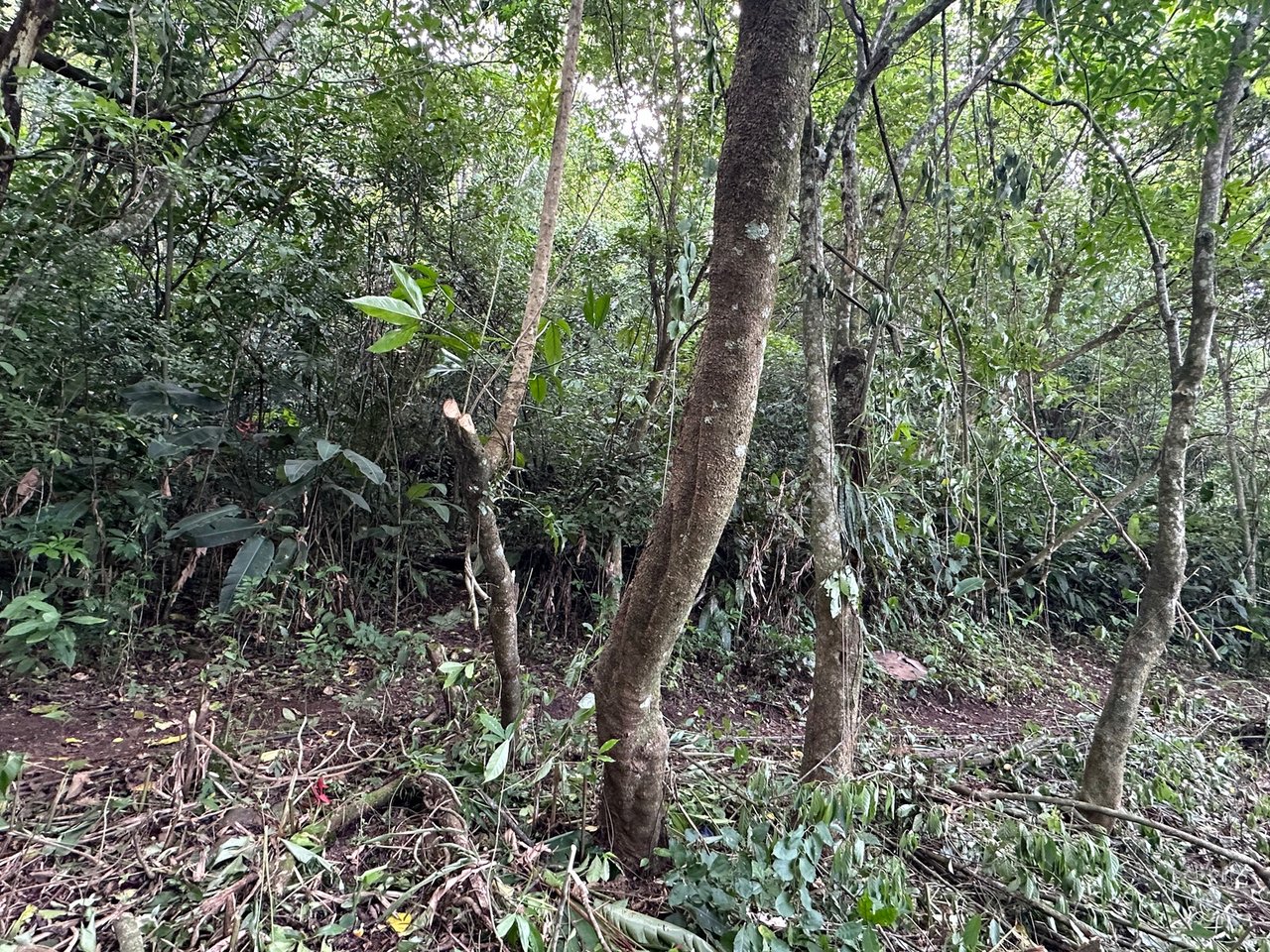 Panoramic View Buildable Land, Escazu, San Jose