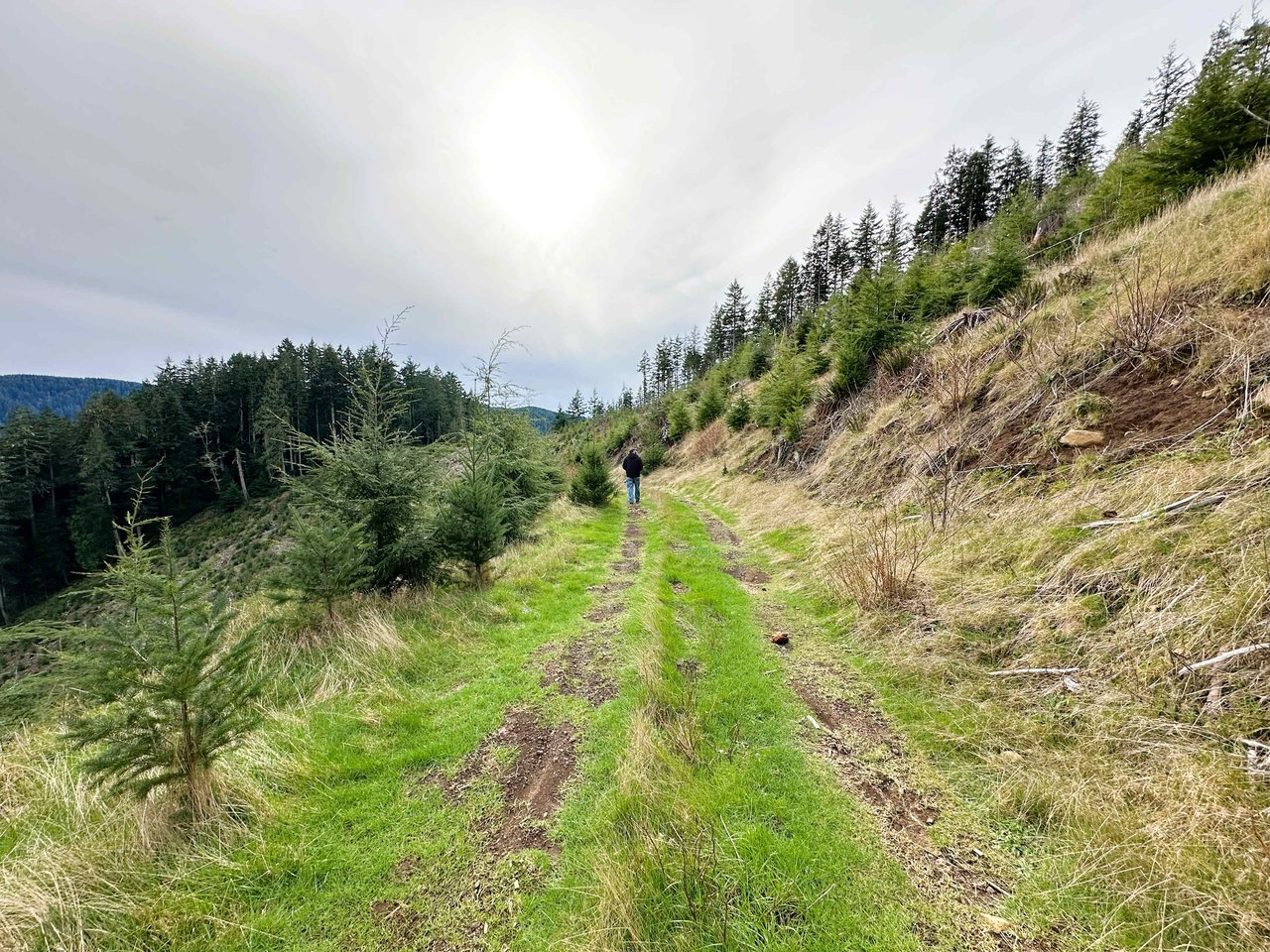 Cummins Creek Wilderness Overlook