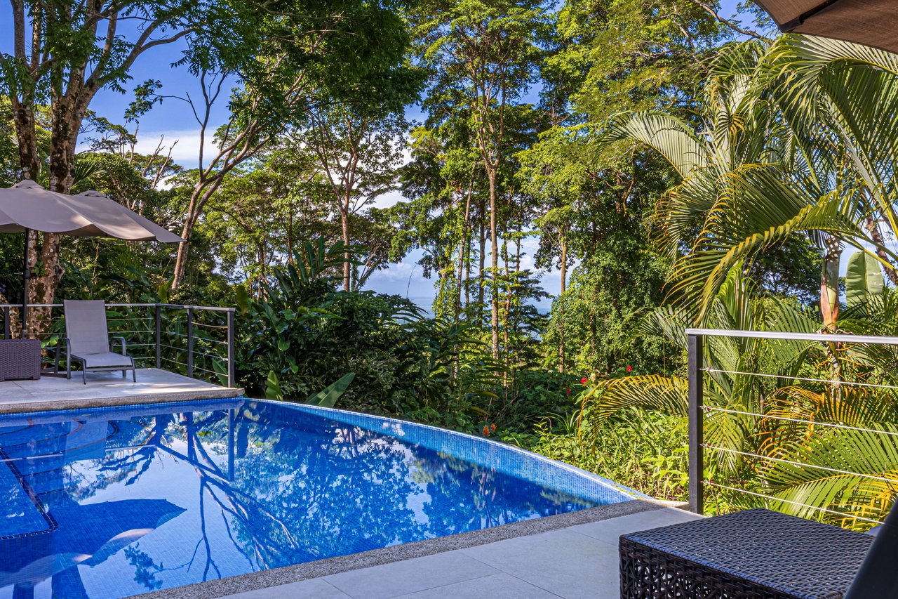 Villa Sana Vida, 4 Bedroom Home with Sunset Views and Rental History!