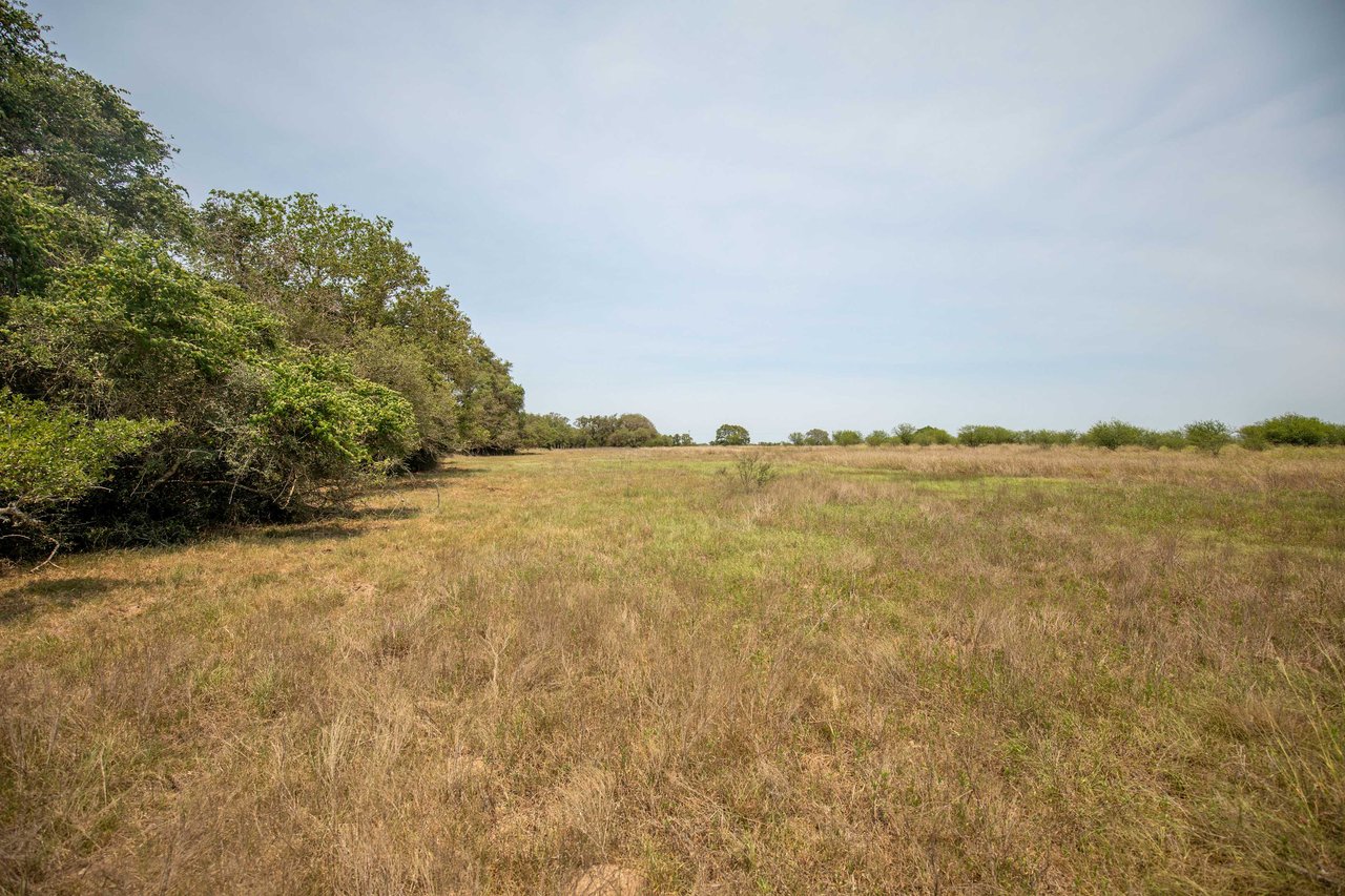 Green DeWitt Rd | 40.82± Acres | DeWitt County