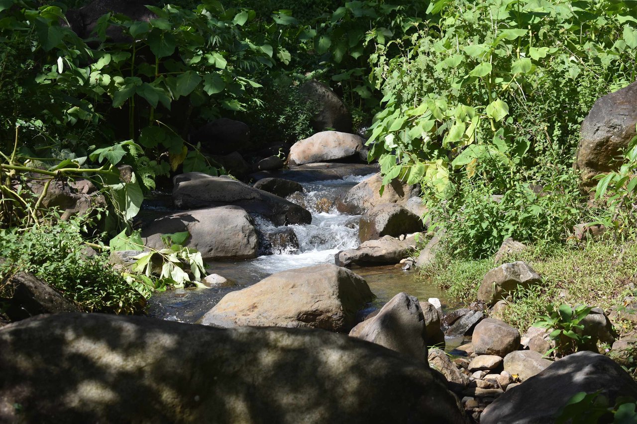 Rio Chiquito Farm | This farm offers an expansive canvas to bring your dreams to life in the majestic Guanacaste mountain rainforest region.