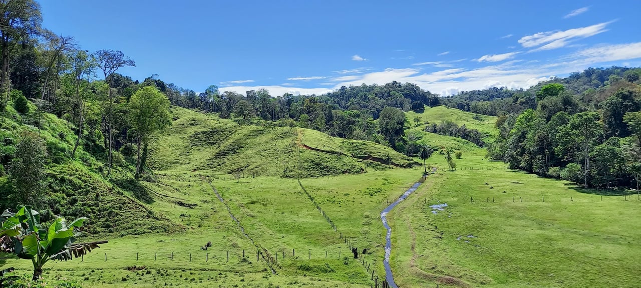 Osa Peninsula Magic 