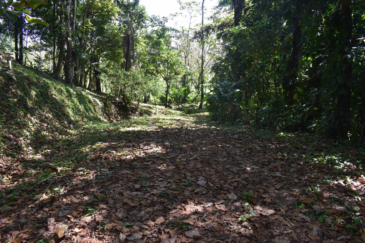 Finca La Paz | Scenic Property in Santo Domingo de Bijagua For Sale!