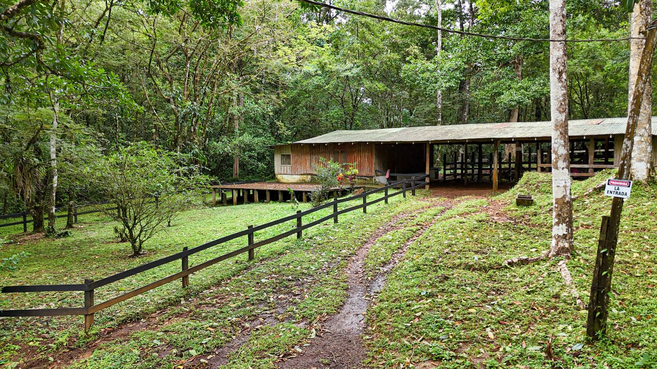 Finca Macadamia | 154-acre Rainforest Paradise with two Houses and Trails!