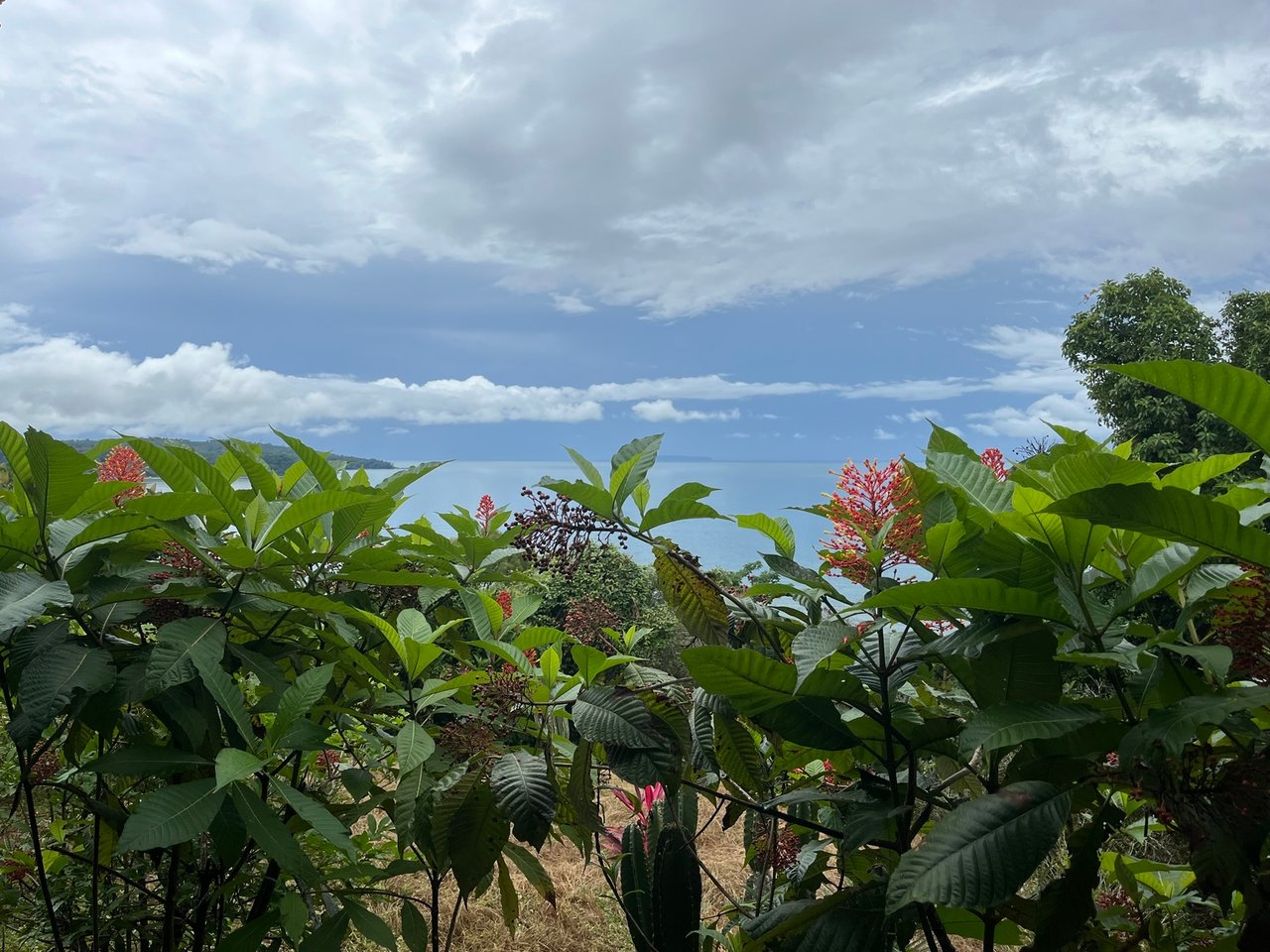Private Ocean View Lot, Osa, Puntarenas