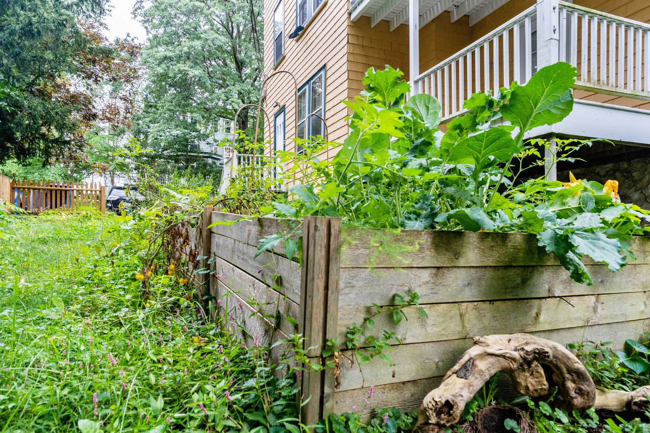 10 Wachusett Street, Unit 3