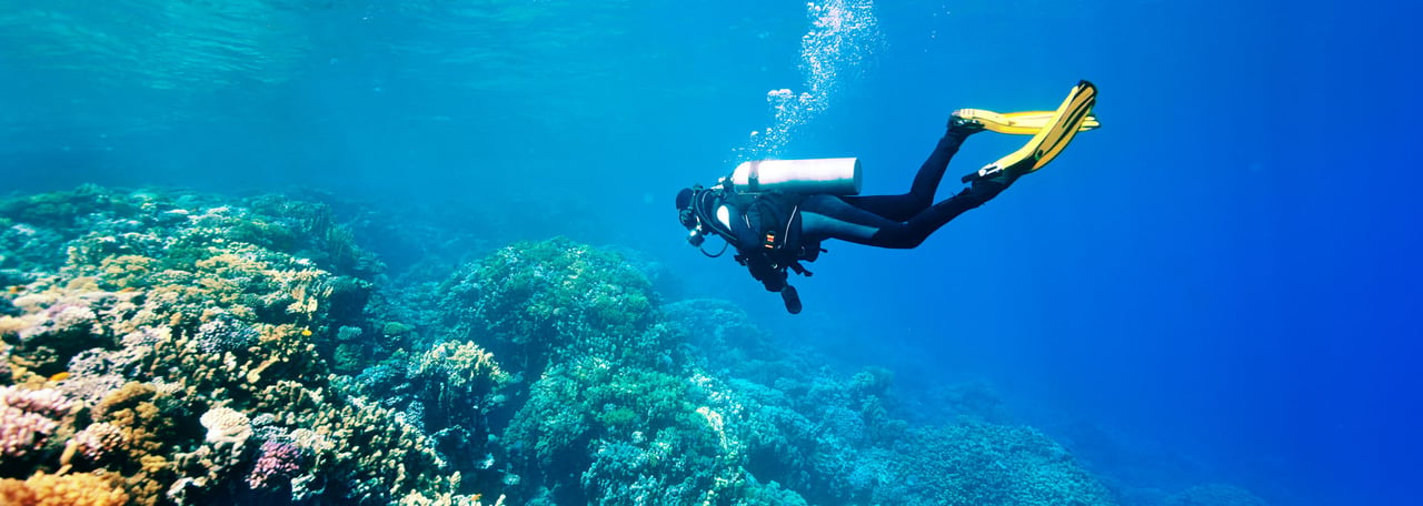 The ultimate scuba diving and saltwater anglers paradise