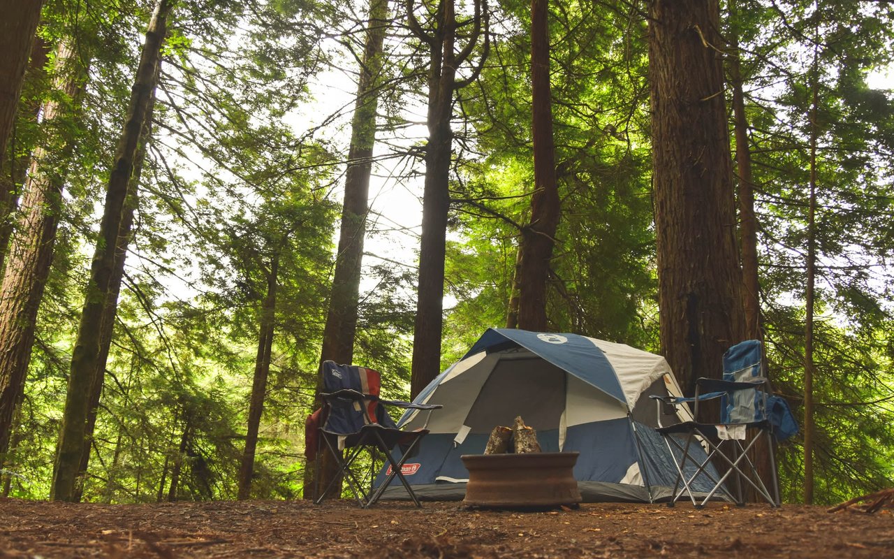 6 Best Campgrounds on Whidbey Island cover