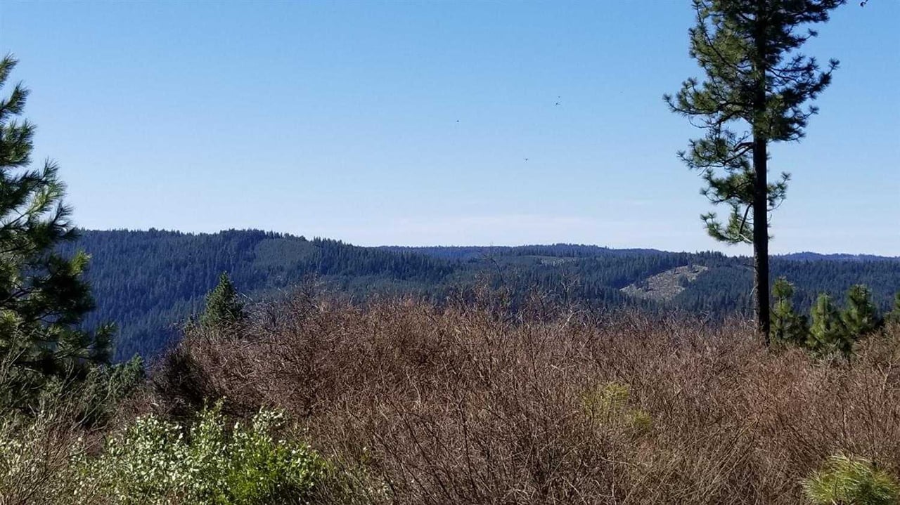 1941 Mainline Rd