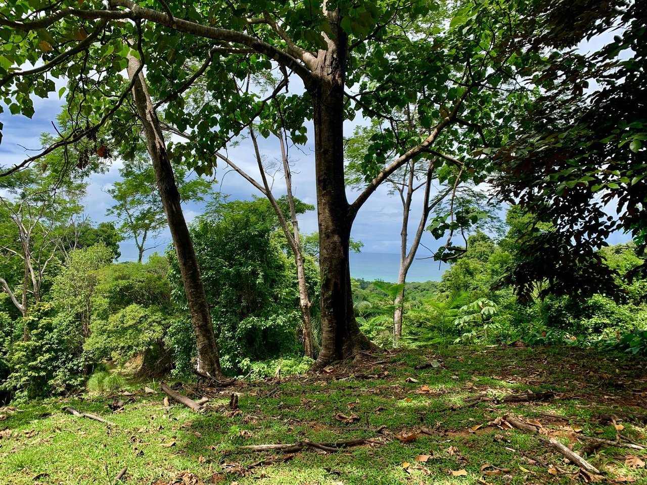 Triple Waterfall Ocean View Land, Dominical, Puntarenas