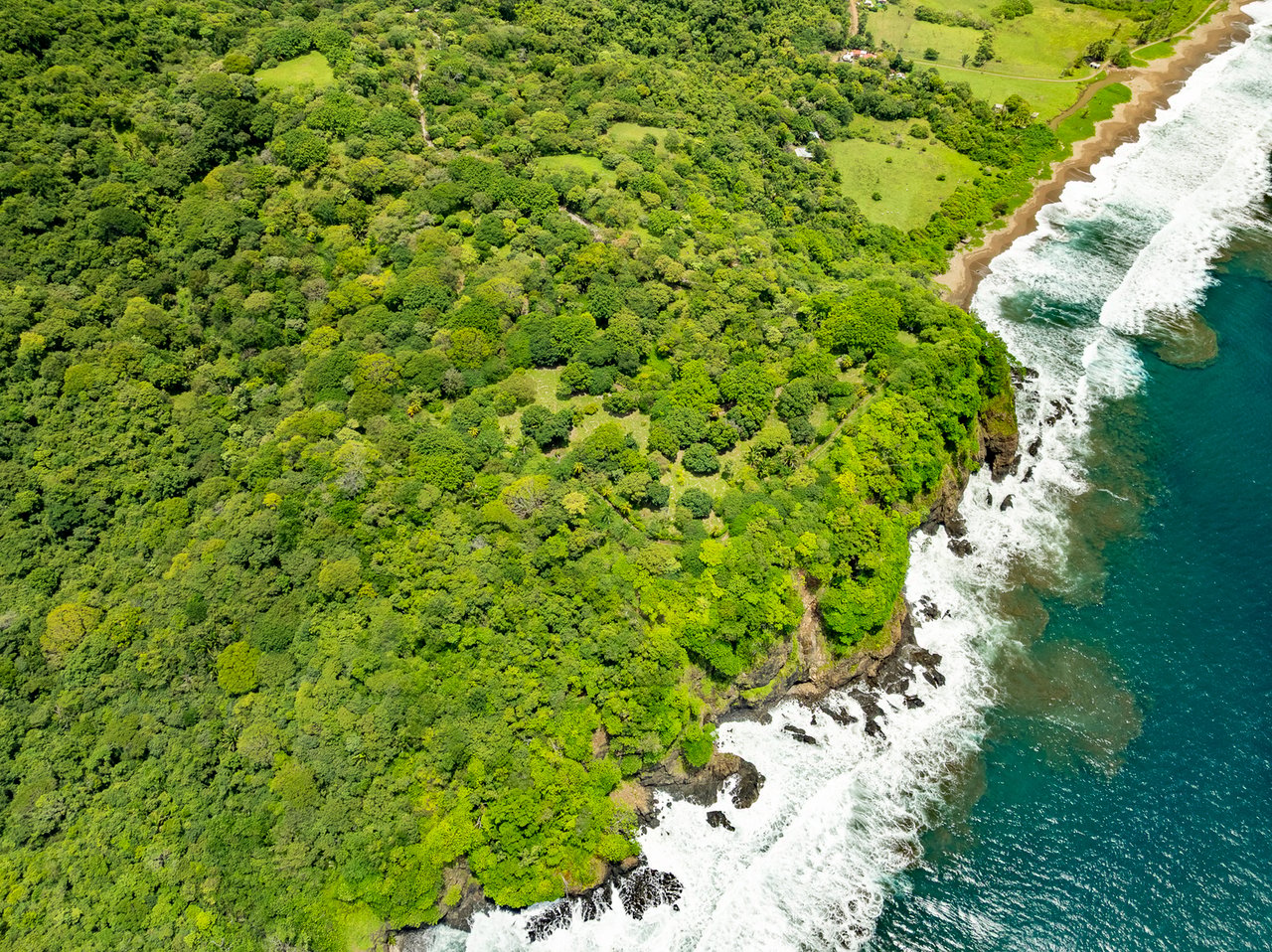 Rare Titled Oceanfront Development Land, Nosara, Guanacaste
