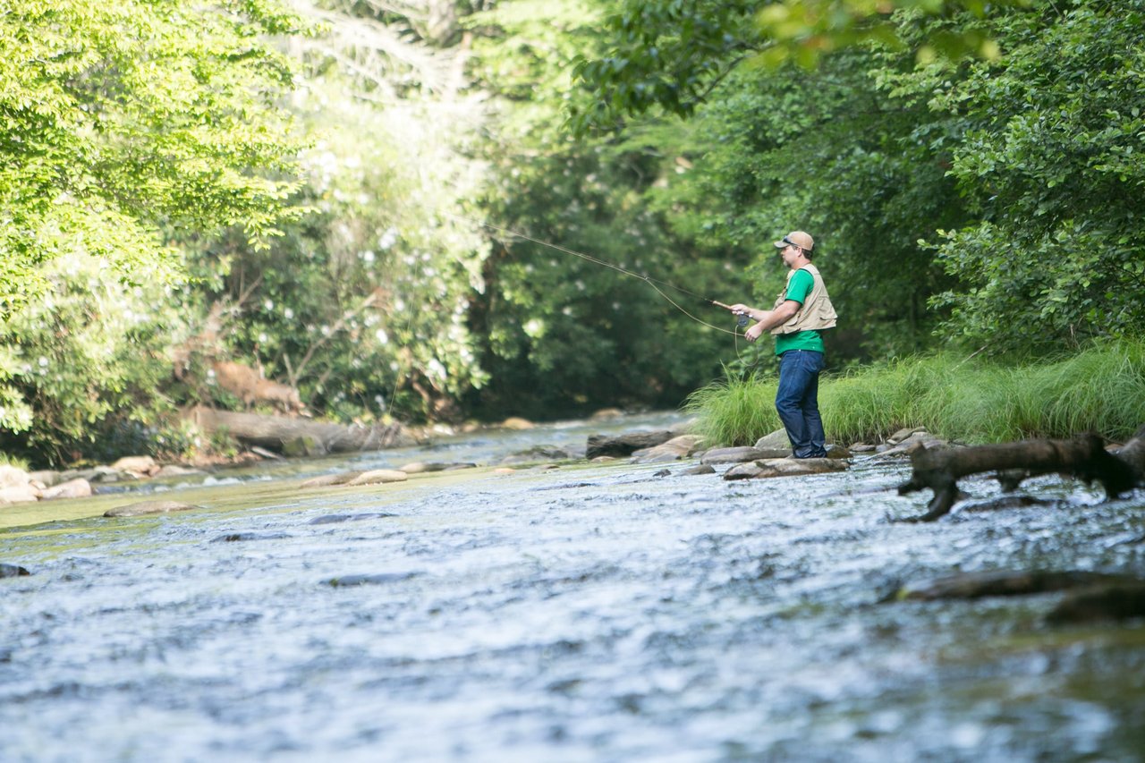 Your Perfect Day in Asheville – Morning