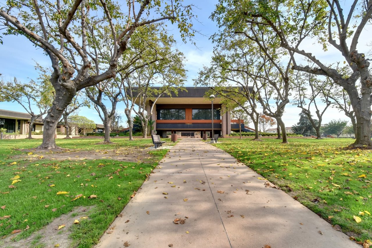 An In-Depth Guide to Cypress for New Homeowners