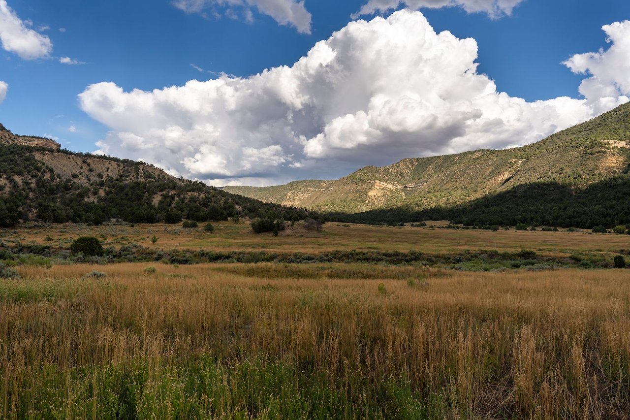 Weber Creek Ranch