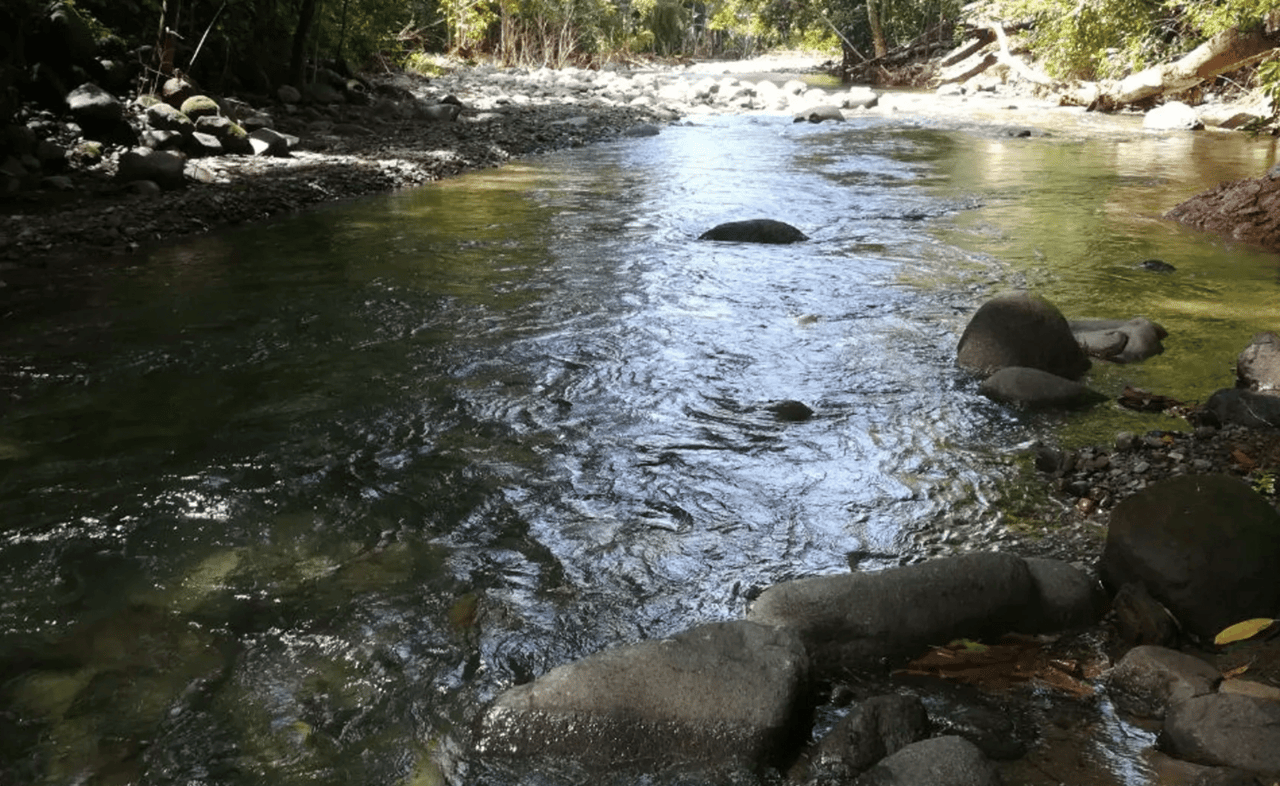 Tropical Hideaway – 7 Acres of Secluded Riverfront with a 3-Bedroom Home