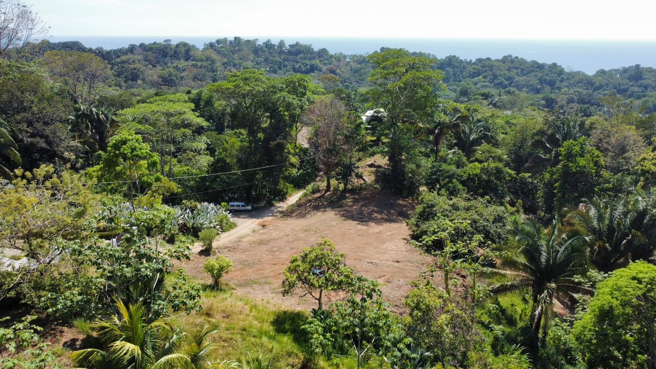 Your Dream Coastal Retreat Awaits: Prime Investment Opportunity in Playa Hermosa, Bahía Ballena