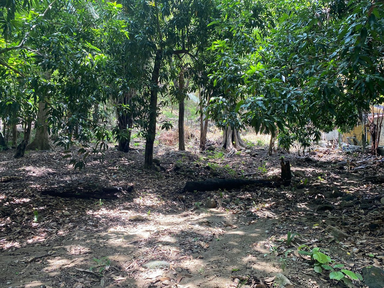 Prime Commercial Development Land, Santa Teresa, Puntarenas