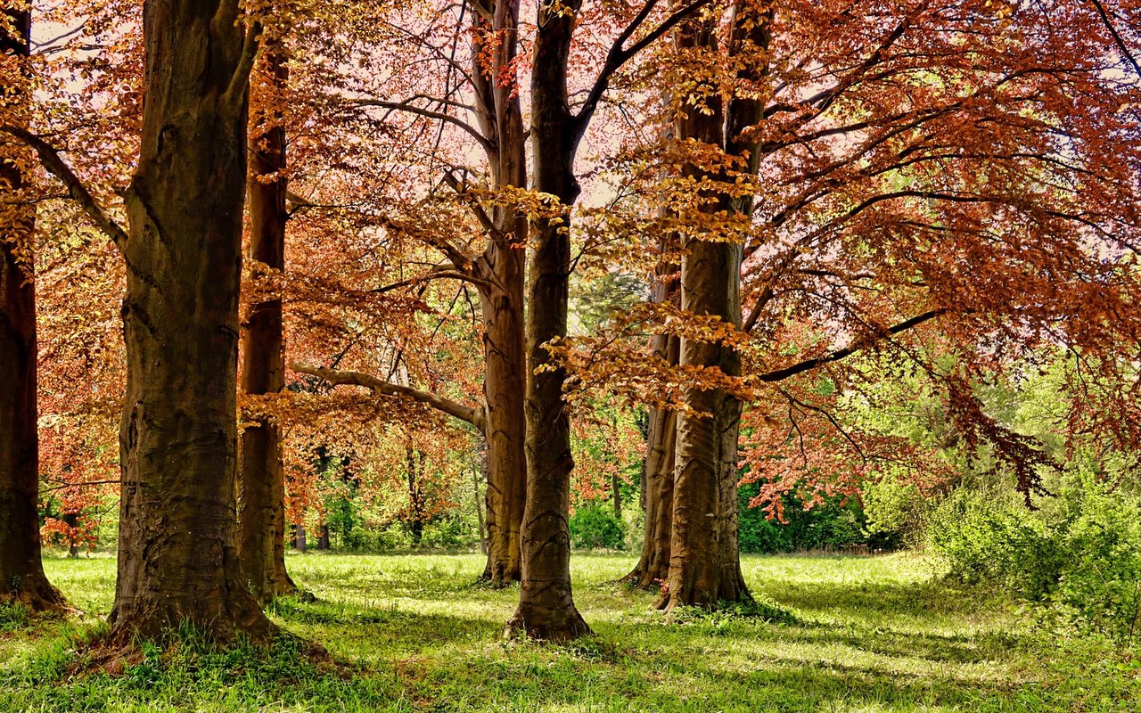 A Guide to Roanoke, VA Parks