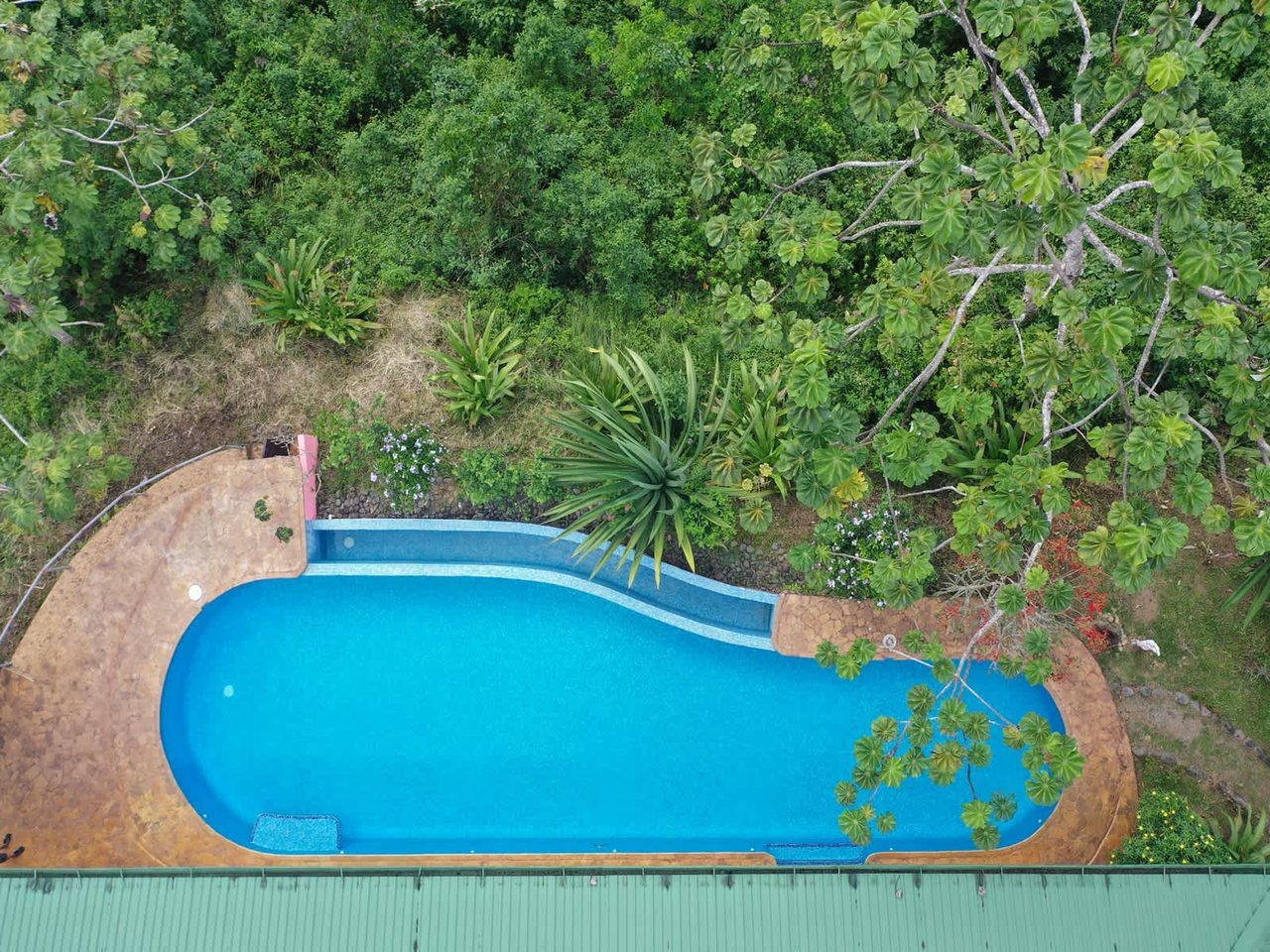 5.2 ACRES – 2 Bedroom Home With 60 Ft Infinity Lap Pool, 1 Bedroom Guest House, Fabulous Ocean View, Mature Fruit Trees!