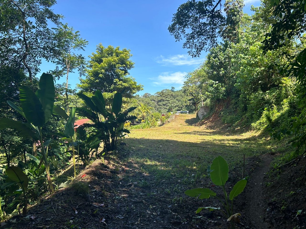 Reasonable Lot for sale in Uvita