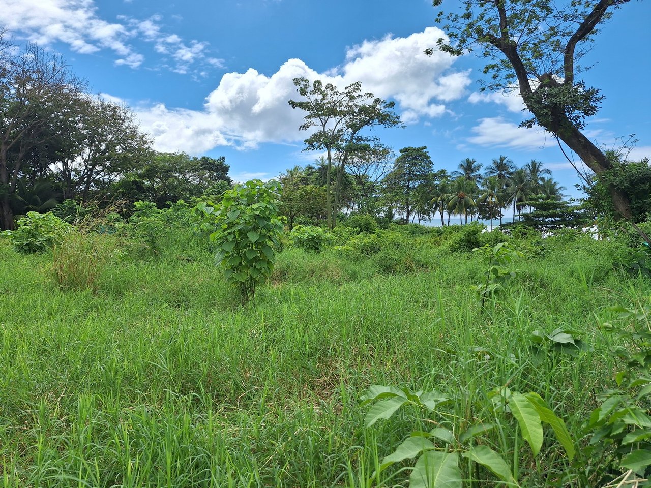 Beachfront Commercial Land, Santa Teresa, Puntarenas