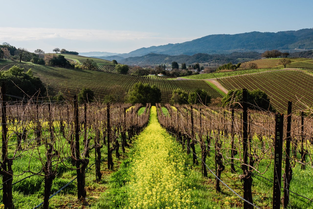 10 Spectacular Spring Getaways in Sonoma County