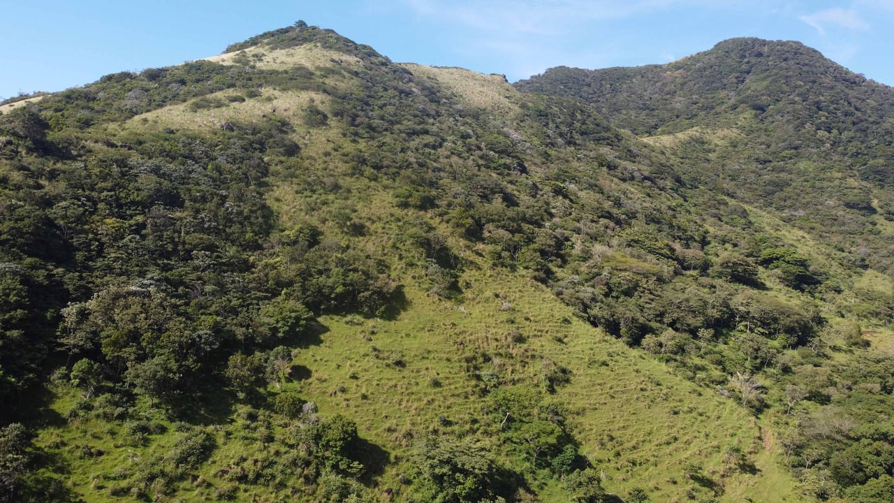 Rio Chiquito Farm | This farm offers an expansive canvas to bring your dreams to life in the majestic Guanacaste mountain rainforest region.