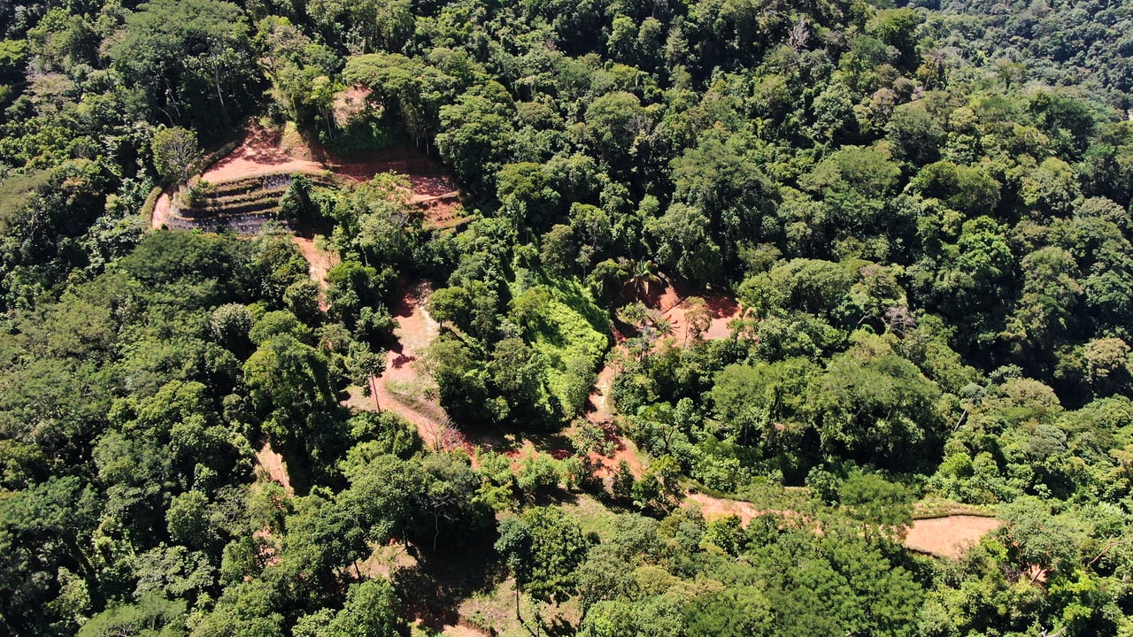 Whale Tail View Development Parcel, Uvita, Puntarenas