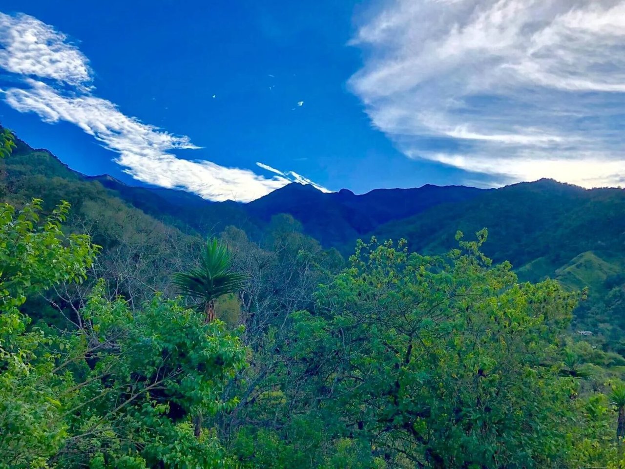 Mountain Retreat with Guest Cabin, Perez Zeledon, San Jose