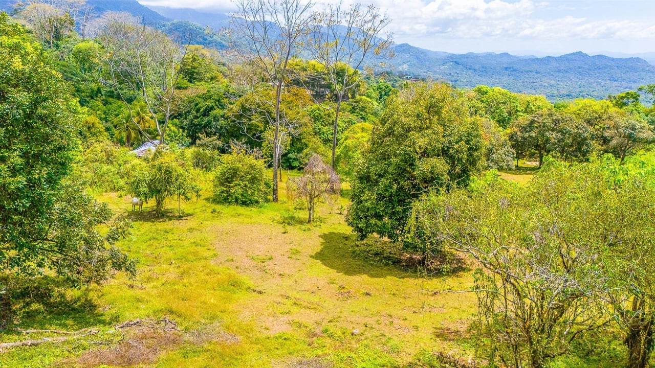 Prime Forest View Lot, Ojochal, Puntarenas